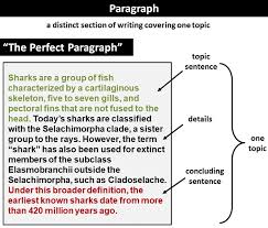 how to write a perfect paragraph